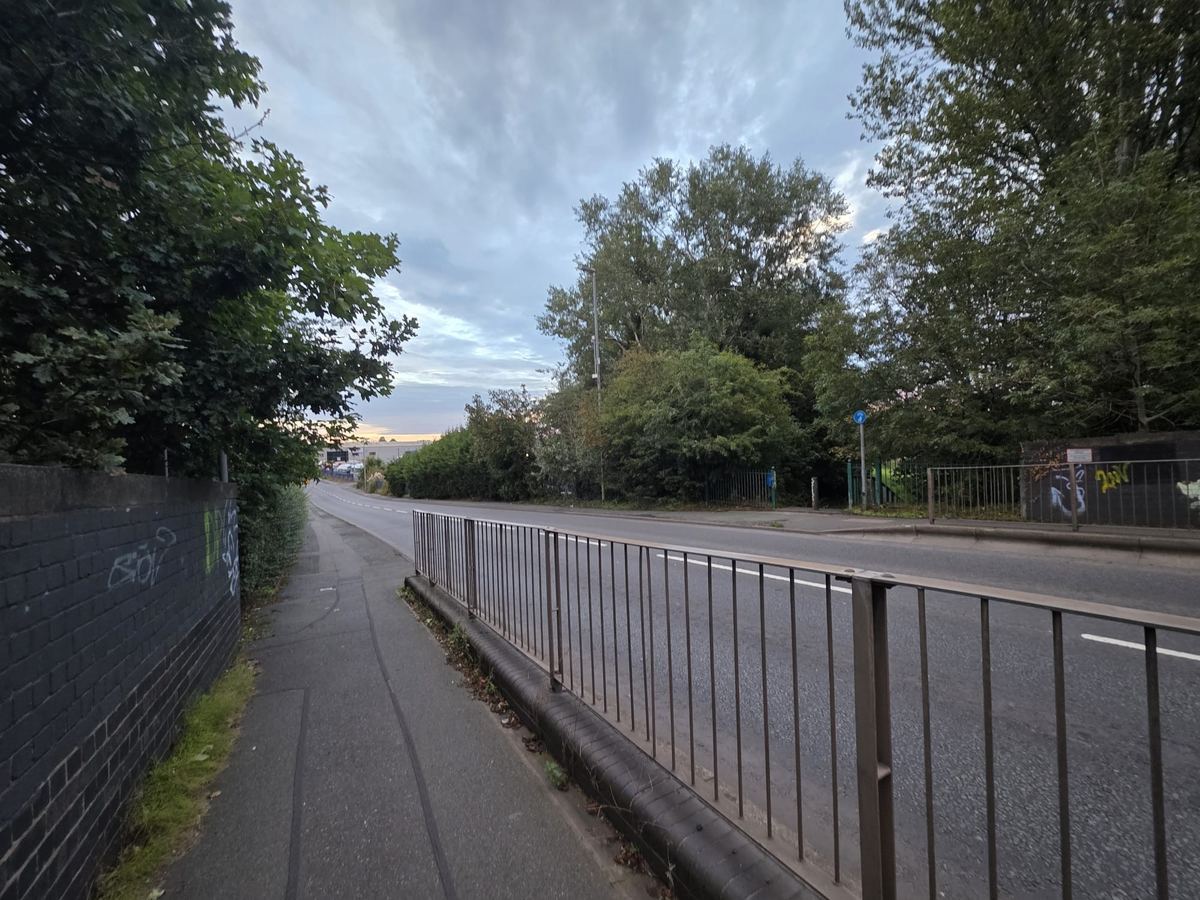Tree-Lined Road at Dusk