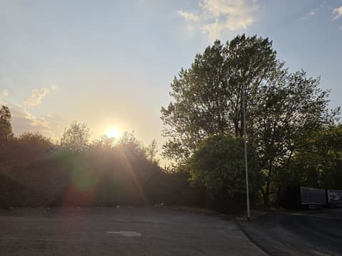 Sun Through the Treeline