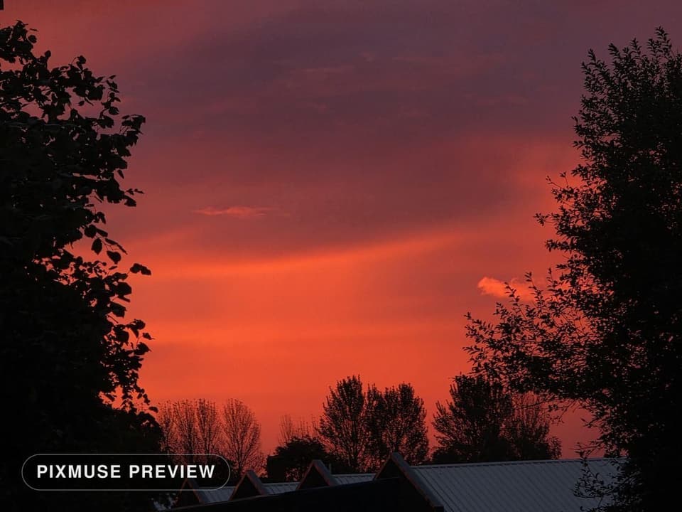 Burning Sunset Through Trees 2